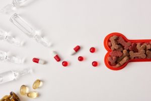 top view of ampoules with medical liquid, various pills and plastic bone with dog food on white